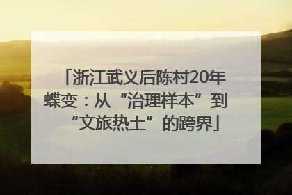 浙江武义后陈村20年蝶变：从“治理样本”到“文旅热土”的跨界
