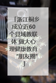 浙江桐乡成立近60个县域教联体 做大心理健康教育“朋友圈”