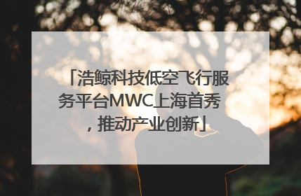 浩鲸科技低空飞行服务平台MWC上海首秀，推动产业创新