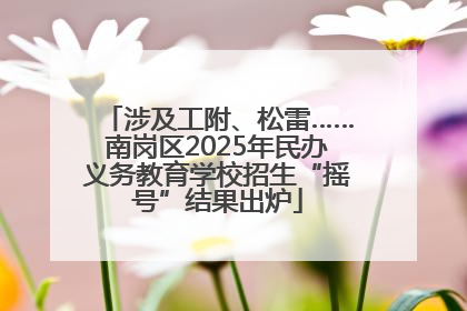 涉及工附、松雷……南岗区2025年民办义务教育学校招生“摇号”结果出炉