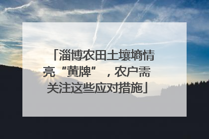 淄博农田土壤墒情亮“黄牌”，农户需关注这些应对措施