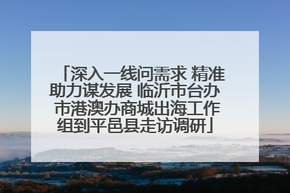 深入一线问需求 精准助力谋发展 临沂市台办 市港澳办商城出海工作组到平邑县走访调研