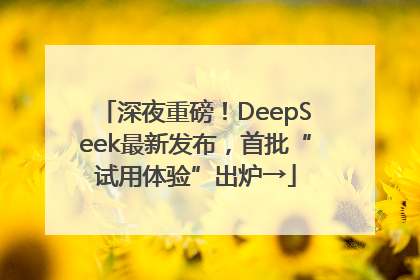 深夜重磅！DeepSeek最新发布，首批“试用体验”出炉→