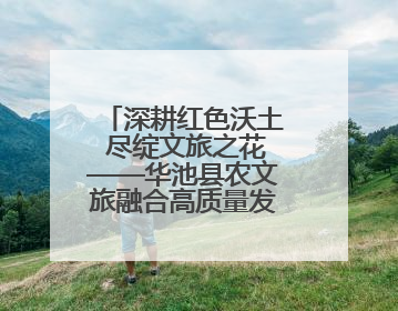 深耕红色沃土 尽绽文旅之花——华池县农文旅融合高质量发展走笔