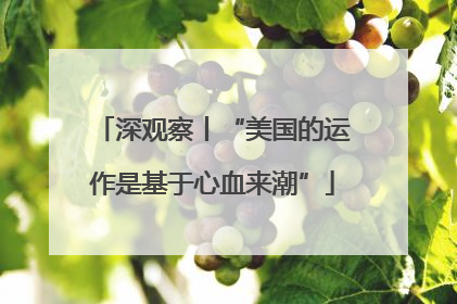 深观察丨“美国的运作是基于心血来潮”