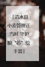 清水县：小麦管理正当时 守护粮“芯”绘丰景