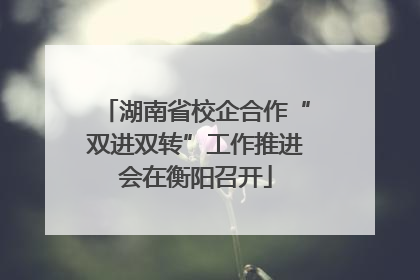 湖南省校企合作“双进双转”工作推进会在衡阳召开