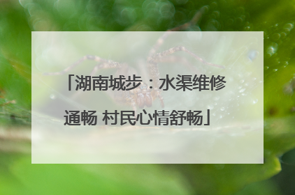 湖南城步：水渠维修通畅 村民心情舒畅