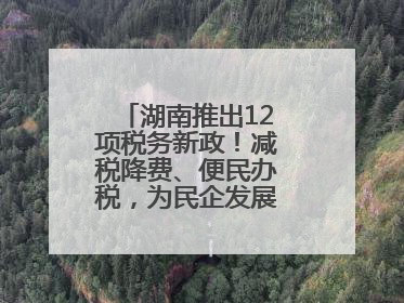 湖南推出12项税务新政！减税降费、便民办税，为民企发展“减负加油”