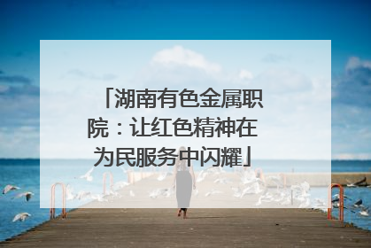 湖南有色金属职院：让红色精神在为民服务中闪耀