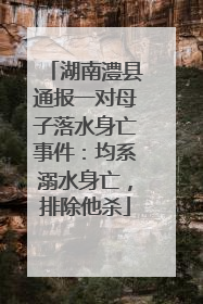 湖南澧县通报一对母子落水身亡事件：均系溺水身亡，排除他杀