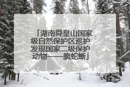 湖南舜皇山国家级自然保护区巡护发现国家二级保护动物——脆蛇蜥