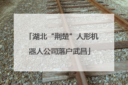 湖北“荆楚”人形机器人公司落户武昌