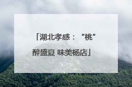 湖北孝感：“桃”醉盛夏 味美杨店