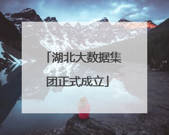 湖北大数据集团正式成立
