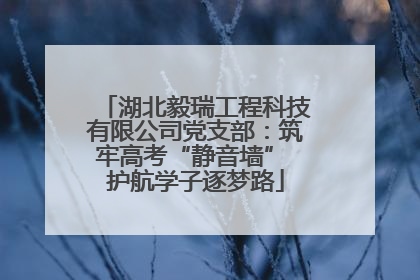 湖北毅瑞工程科技有限公司党支部：筑牢高考“静音墙” 护航学子逐梦路