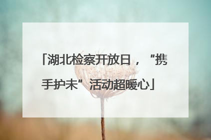 湖北检察开放日，“携手护未”活动超暖心