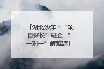 湖北沙洋：“项目警长”驻企 “一对一”解难题