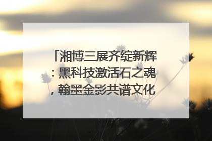 湘博三展齐绽新辉：黑科技激活石之魂，翰墨金影共谱文化遗产日华章