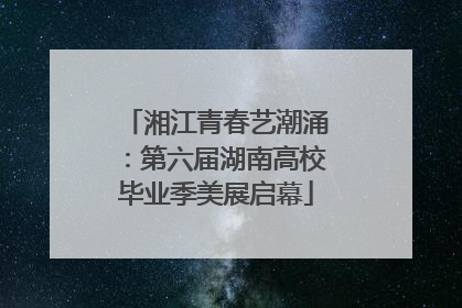 湘江青春艺潮涌：第六届湖南高校毕业季美展启幕