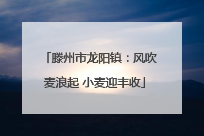 滕州市龙阳镇：风吹麦浪起 小麦迎丰收