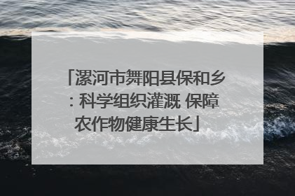 漯河市舞阳县保和乡：科学组织灌溉 保障农作物健康生长