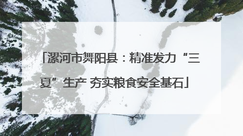 漯河市舞阳县：精准发力“三夏”生产 夯实粮食安全基石