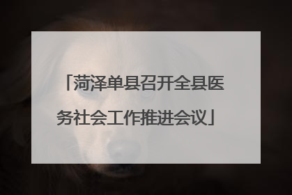 菏泽单县召开全县医务社会工作推进会议