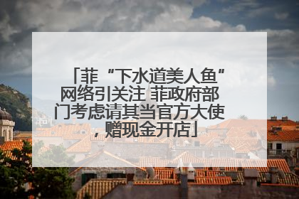 菲“下水道美人鱼”网络引关注 菲政府部门考虑请其当官方大使，赠现金开店