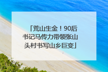 荒山生金！90后书记马传力带领张山头村书写山乡巨变