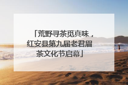 荒野寻茶觅真味，红安县第九届老君眉茶文化节启幕