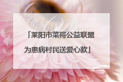 莱阳市菜哥公益联盟为患病村民送爱心款