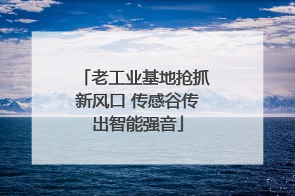 老工业基地抢抓新风口 传感谷传出智能强音
