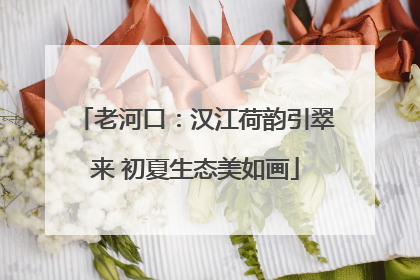 老河口：汉江荷韵引翠来 初夏生态美如画