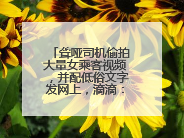 聋哑司机偷拍大量女乘客视频，并配低俗文字发网上，滴滴：将核实处理