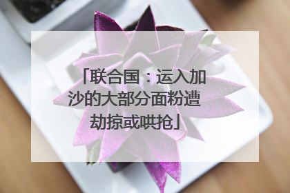 联合国：运入加沙的大部分面粉遭劫掠或哄抢