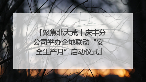 聚焦北大荒丨庆丰分公司举办企地联动“安全生产月”启动仪式
