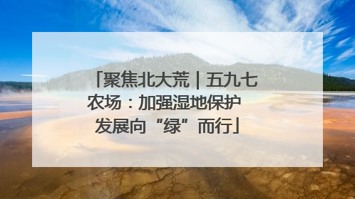 聚焦北大荒｜五九七农场：加强湿地保护 发展向“绿”而行