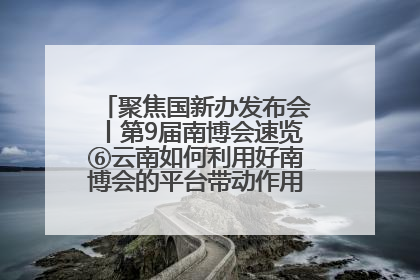聚焦国新办发布会丨第9届南博会速览⑥云南如何利用好南博会的平台带动作用，深化与南亚国家的交流与合作？