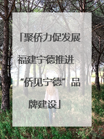聚侨力促发展 福建宁德推进“侨见宁德”品牌建设