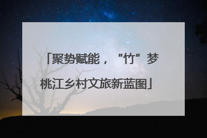 聚势赋能，“竹”梦桃江乡村文旅新蓝图