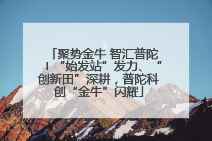 聚势金牛 智汇普陀〡“始发站”发力、“创新田”深耕，普陀科创“金牛”闪耀