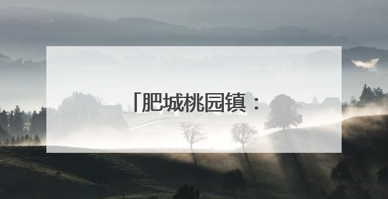 肥城桃园镇：筑牢防汛屏障，守护群众安全