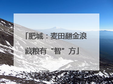 肥城：麦田翻金浪藏粮有“智”方