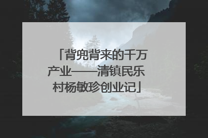 背兜背来的千万产业——清镇民乐村杨敏珍创业记