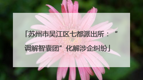 苏州市吴江区七都派出所：“调解智囊团”化解涉企纠纷