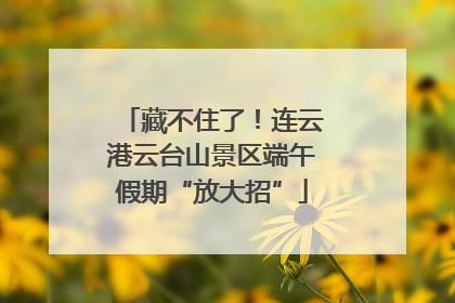 藏不住了！连云港云台山景区端午假期“放大招”