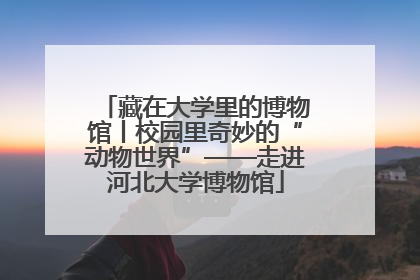 藏在大学里的博物馆丨校园里奇妙的“动物世界”——走进河北大学博物馆