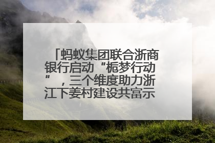 蚂蚁集团联合浙商银行启动“栀梦行动”，三个维度助力浙江下姜村建设共富示范区示范点
