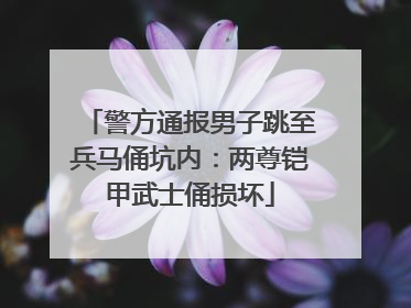 警方通报男子跳至兵马俑坑内：两尊铠甲武士俑损坏